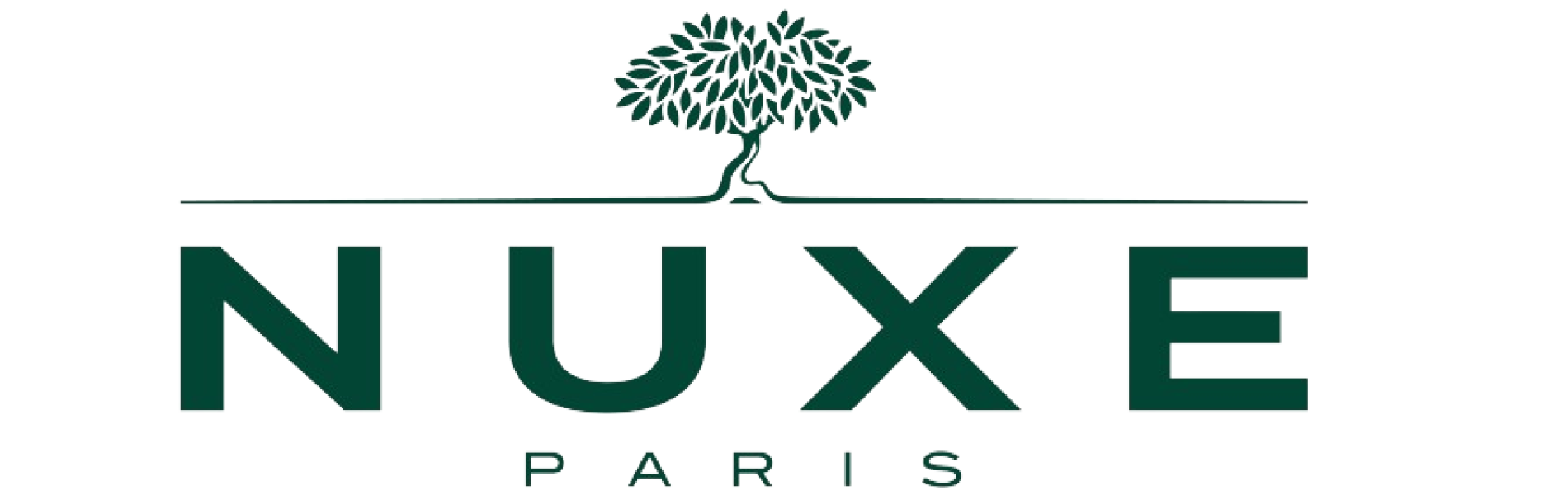 nuxe-logo-removebg-preview-2